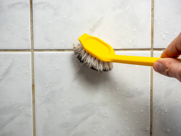 Best Kitchen Mold Remediation in Milan, NM